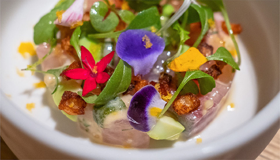 10|NéMo モダンフレンチ(南青山)