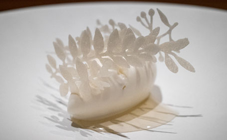 ROCOCOを選んだ理由は「ただ喉を潤すだけ」の“とりあえずビール！”ではないと感じたから